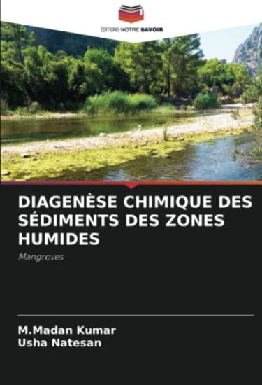 DIAGENÈSE CHIMIQUE DES SÉDIMENTS DES ZONES HUMIDES
