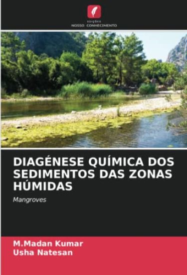 DIAGÉNESE QUÍMICA DOS SEDIMENTOS DAS ZONAS HÚMIDAS