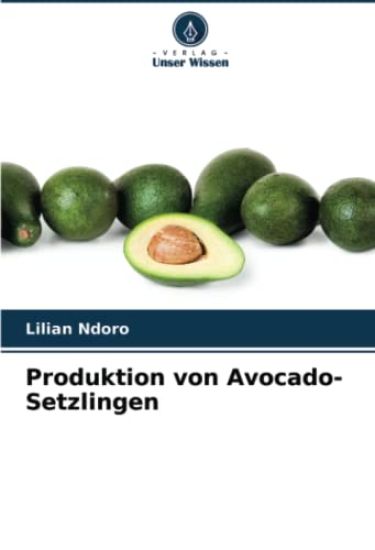 Produktion von Avocado-Setzlingen