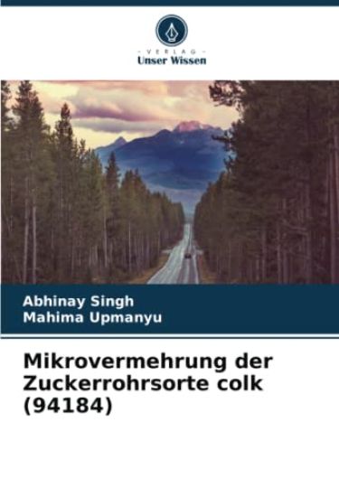 Mikrovermehrung der Zuckerrohrsorte colk (94184)