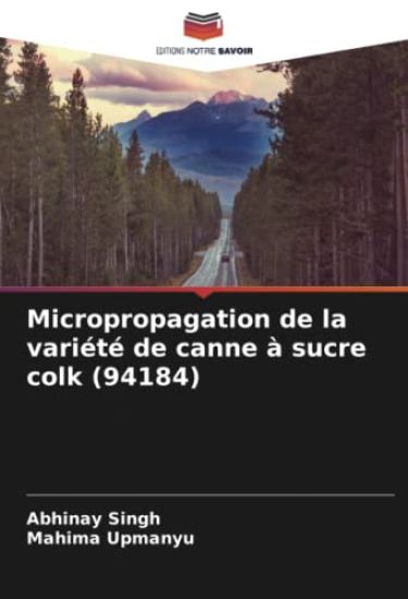 Micropropagation de la variété de canne à sucre colk (94184)