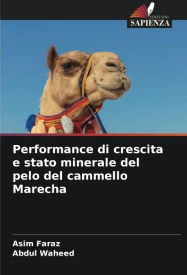 Performance di crescita e stato minerale del pelo del cammello Marecha