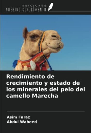 Rendimiento de crecimiento y estado de los minerales del pelo del camello Marecha