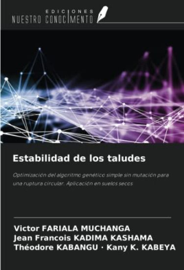 Estabilidad de los taludes