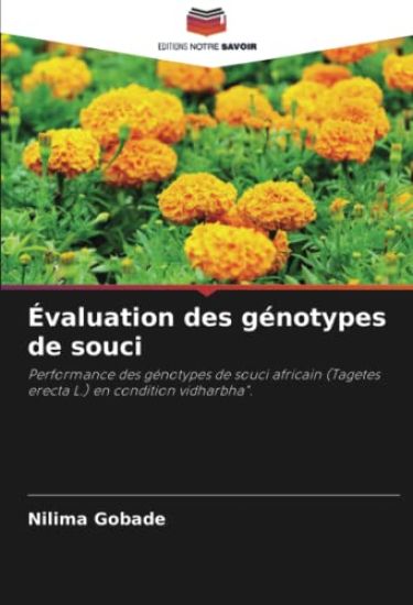 Évaluation des génotypes de souci