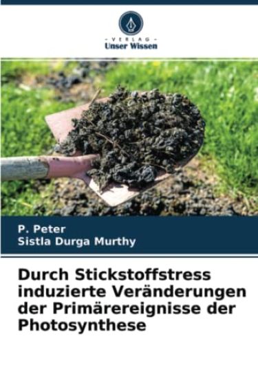 Durch Stickstoffstress induzierte Veränderungen der Primärereignisse der Photosynthese