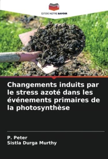 Changements induits par le stress azoté dans les événements primaires de la photosynthèse