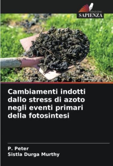 Cambiamenti indotti dallo stress di azoto negli eventi primari della fotosintesi