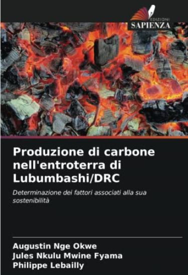 Produzione di carbone nell'entroterra di Lubumbashi/DRC