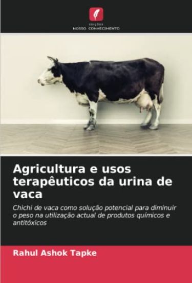 Agricultura e usos terapêuticos da urina de vaca