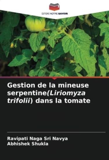 Gestion de la mineuse serpentine(Liriomyza trifolii) dans la tomate