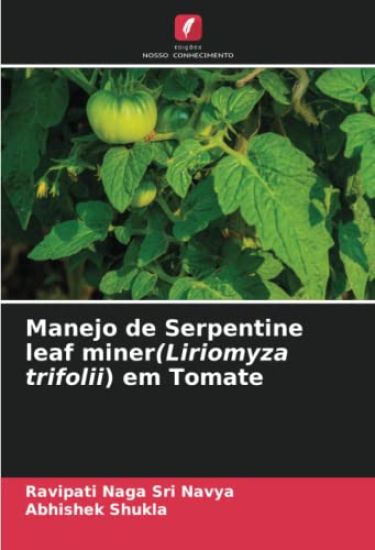 Manejo de Serpentine leaf miner(Liriomyza trifolii) em Tomate