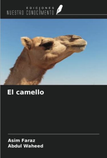 El camello