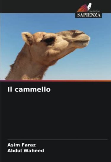 Il cammello