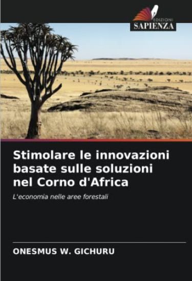 Stimolare le innovazioni basate sulle soluzioni nel Corno d'Africa