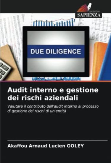 Audit interno e gestione dei rischi aziendali
