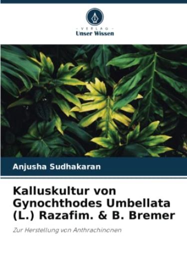 Kalluskultur von Gynochthodes Umbellata (L.) Razafim. & B. Bremer