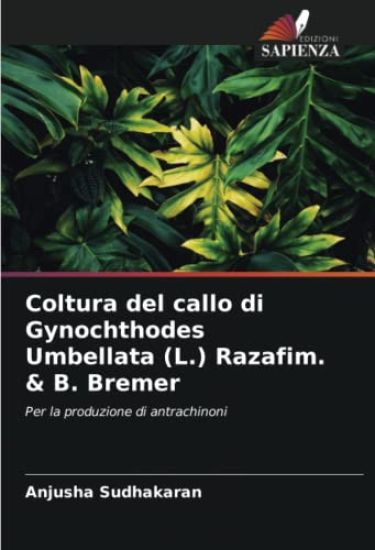 Coltura del callo di Gynochthodes Umbellata (L.) Razafim. & B. Bremer