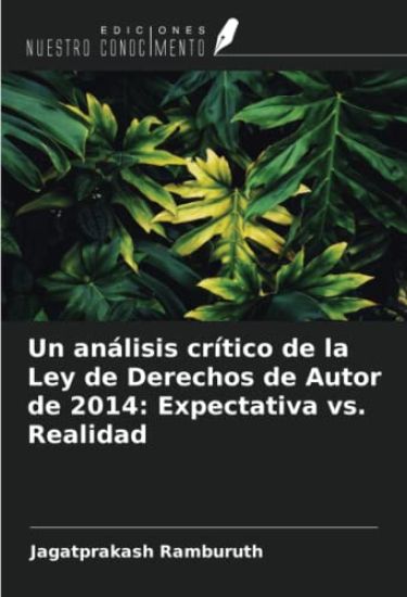 Un análisis crítico de la Ley de Derechos de Autor de 2014: Expectativa vs. Realidad