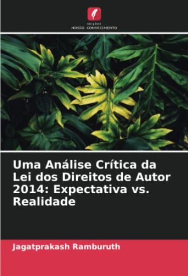 Uma Análise Crítica da Lei dos Direitos de Autor 2014: Expectativa vs. Realidade