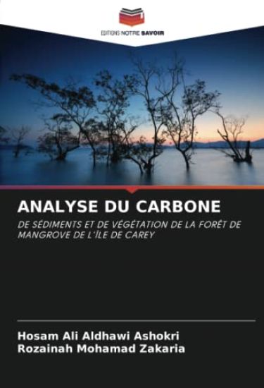 ANALYSE DU CARBONE