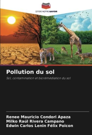 Pollution du sol