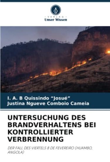 UNTERSUCHUNG DES BRANDVERHALTENS BEI KONTROLLIERTER VERBRENNUNG