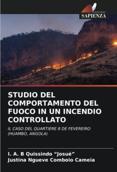 STUDIO DEL COMPORTAMENTO DEL FUOCO IN UN INCENDIO CONTROLLATO