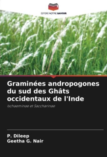 Graminées andropogones du sud des Ghâts occidentaux de l'Inde