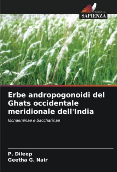 Erbe andropogonoidi del Ghats occidentale meridionale dell'India