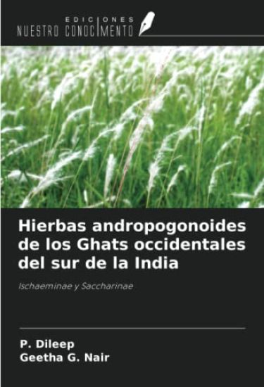 Hierbas andropogonoides de los Ghats occidentales del sur de la India