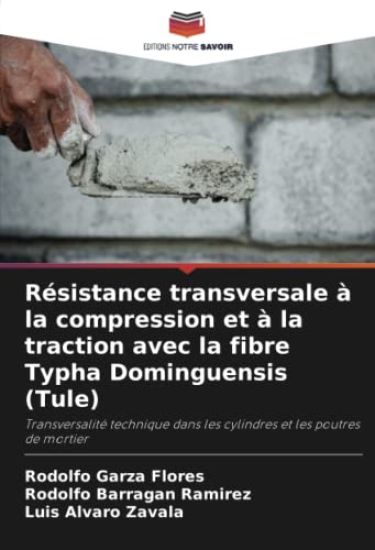 Résistance transversale à la compression et à la traction avec la fibre Typha Dominguensis (Tule)