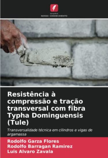 Resistência à compressão e tração transversal com fibra Typha Dominguensis (Tule)
