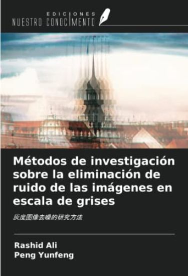 Métodos de investigación sobre la eliminación de ruido de las imágenes en escala de grises