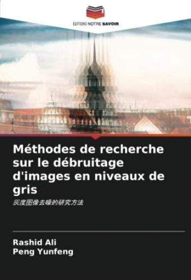 Méthodes de recherche sur le débruitage d'images en niveaux de gris