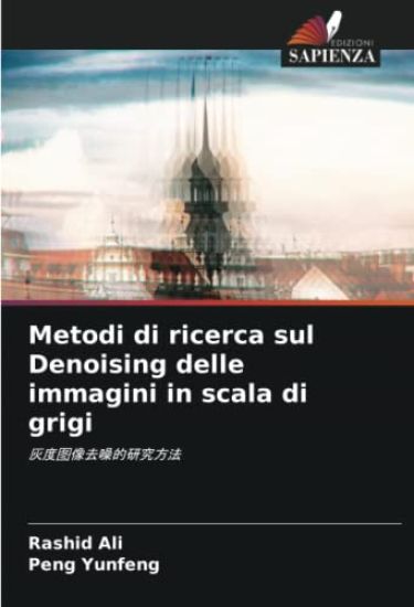 Metodi di ricerca sul Denoising delle immagini in scala di grigi