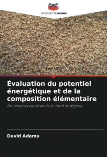 Évaluation du potentiel énergétique et de la composition élémentaire