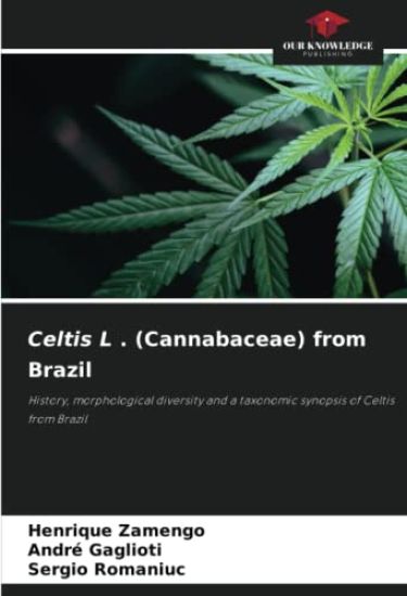 Celtis L . (Cannabaceae) from Brazil