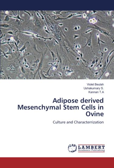 Adipose derived Mesenchymal Stem Cells in Ovine