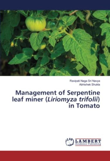 Management of Serpentine leaf miner (Liriomyza trifolii) in Tomato