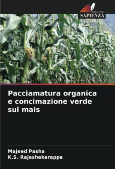 Pacciamatura organica e concimazione verde sul mais
