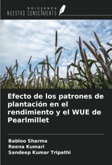 Efecto de los patrones de plantación en el rendimiento y el WUE de Pearlmillet