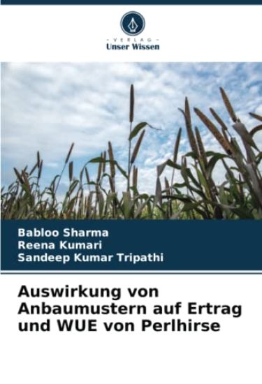 Auswirkung von Anbaumustern auf Ertrag und WUE von Perlhirse