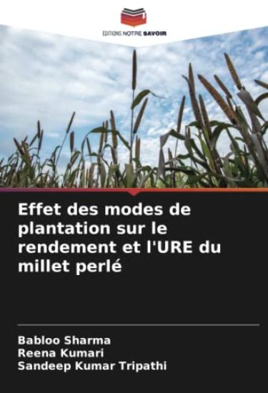 Effet des modes de plantation sur le rendement et l'URE du millet perlé