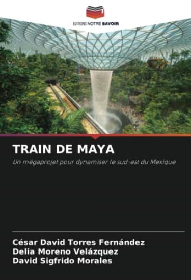 TRAIN DE MAYA
