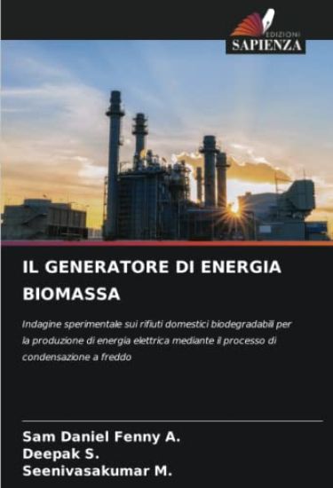 IL GENERATORE DI ENERGIA BIOMASSA