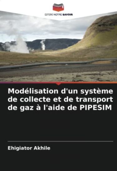 Modélisation d'un système de collecte et de transport de gaz à l'aide de PIPESIM