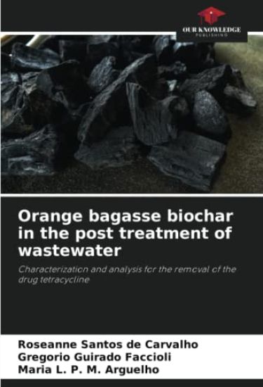 Orange bagasse biochar in the post treatment of wastewater