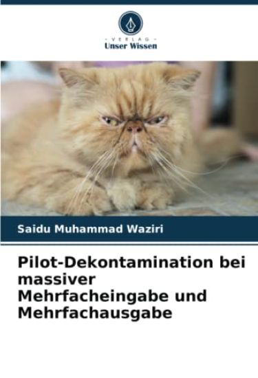 Pilot-Dekontamination bei massiver Mehrfacheingabe und Mehrfachausgabe
