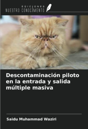 Descontaminación piloto en la entrada y salida múltiple masiva
